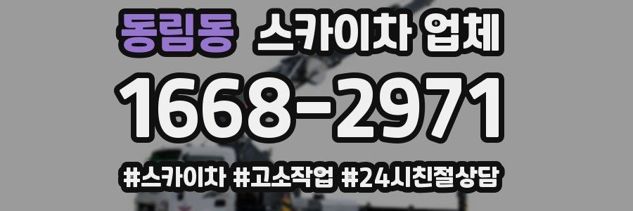 동림동 스카이차 업체