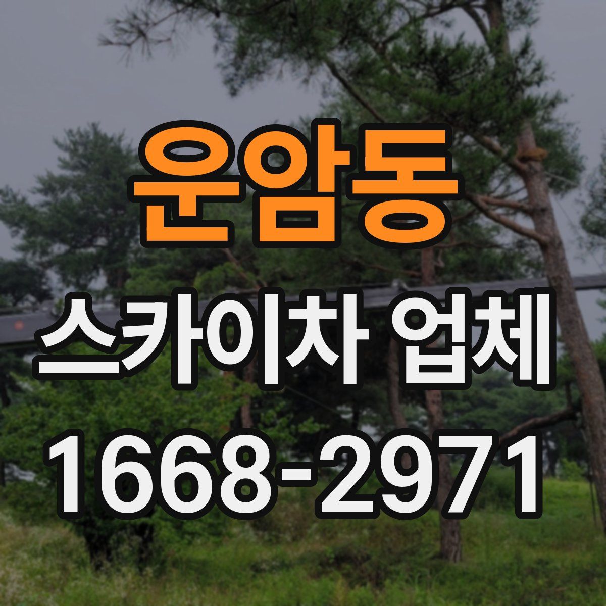 운암동 스카이차 업체