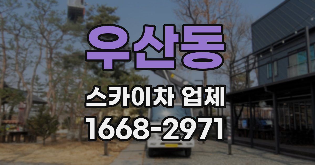 우산동 스카이차 업체