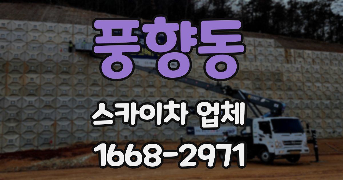 풍향동 스카이차 업체