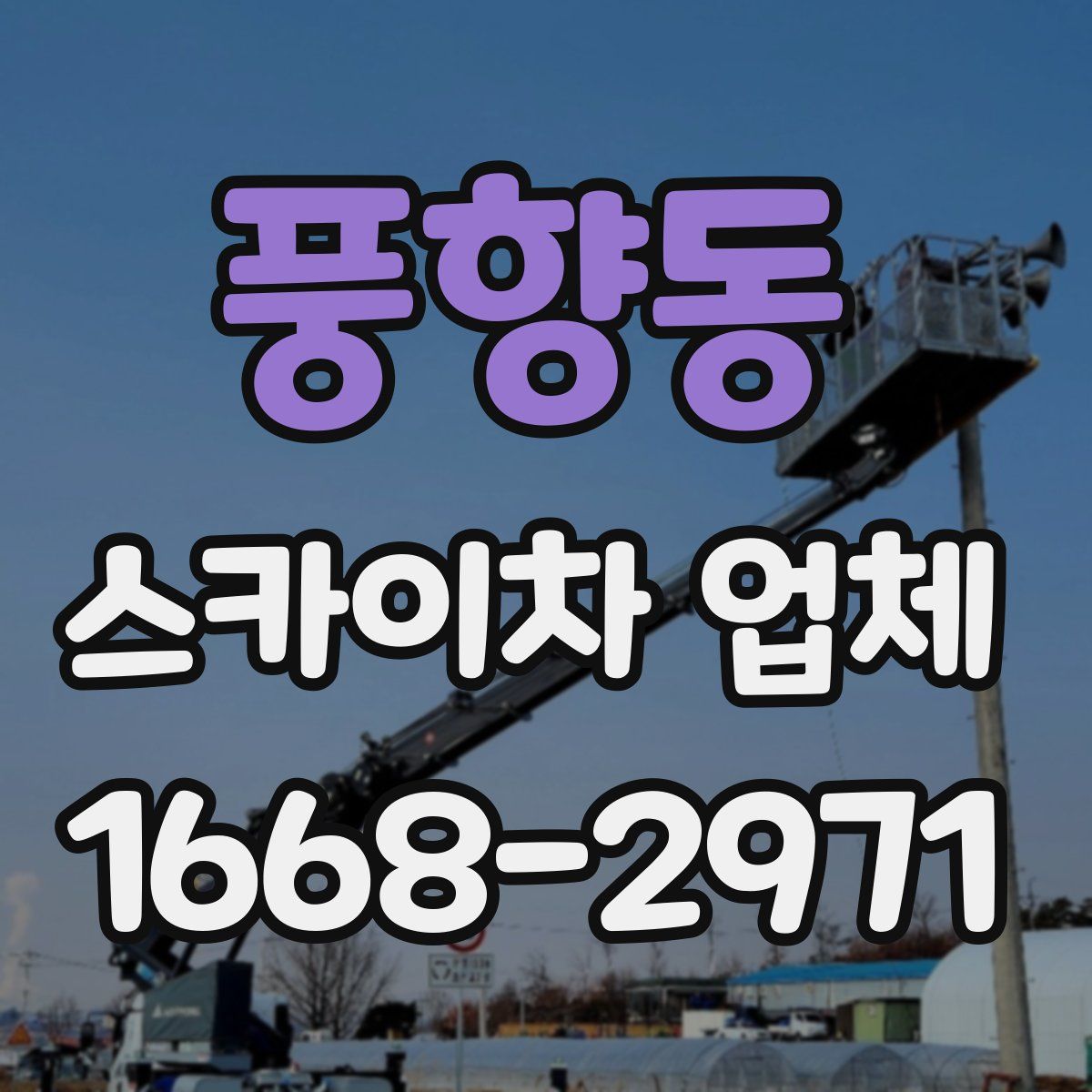 풍향동 스카이차 업체