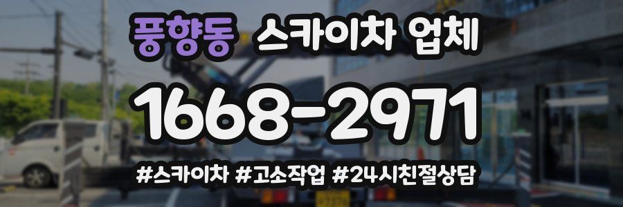 풍향동 스카이차 업체