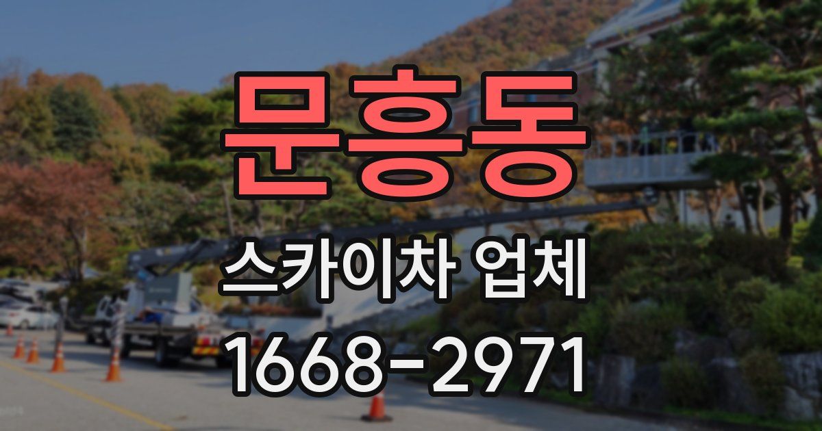 문흥동 스카이차 업체