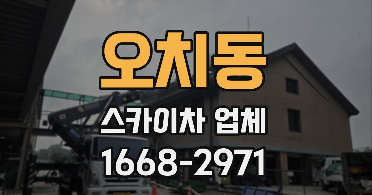 오치동 스카이차 업체