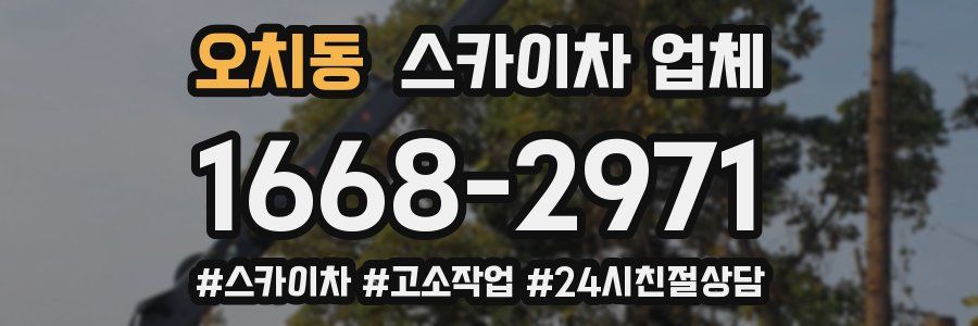 오치동 스카이차 업체