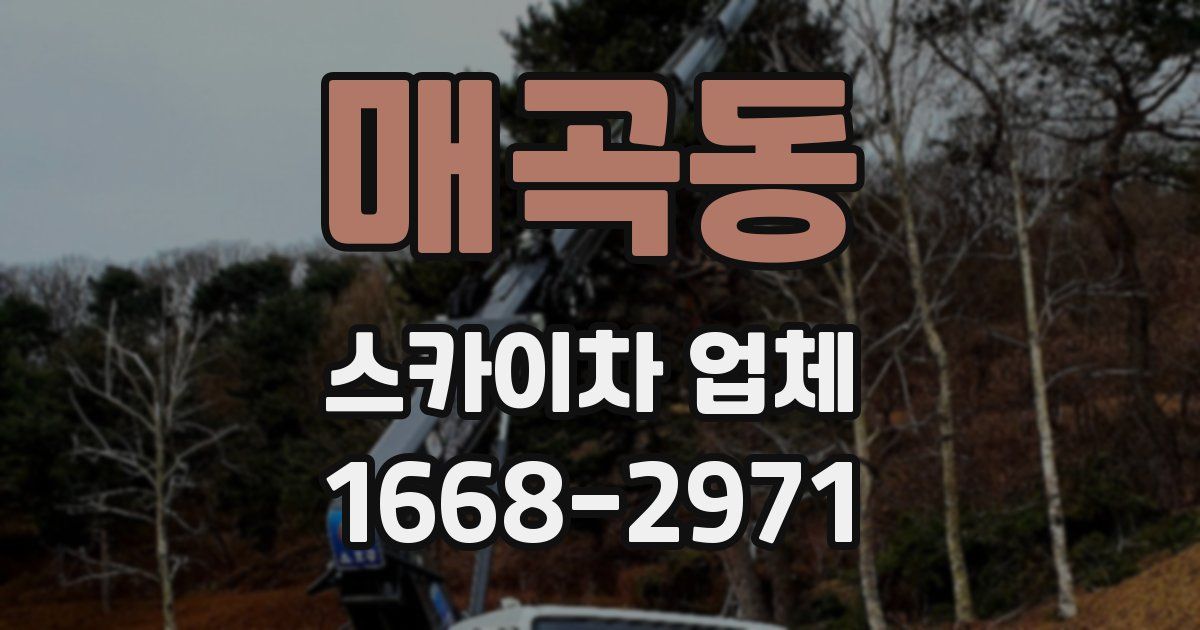 매곡동 스카이차 업체