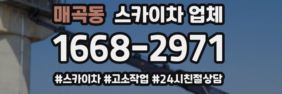 매곡동 스카이차 업체