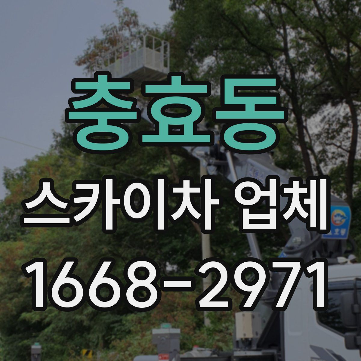 충효동 스카이차 업체