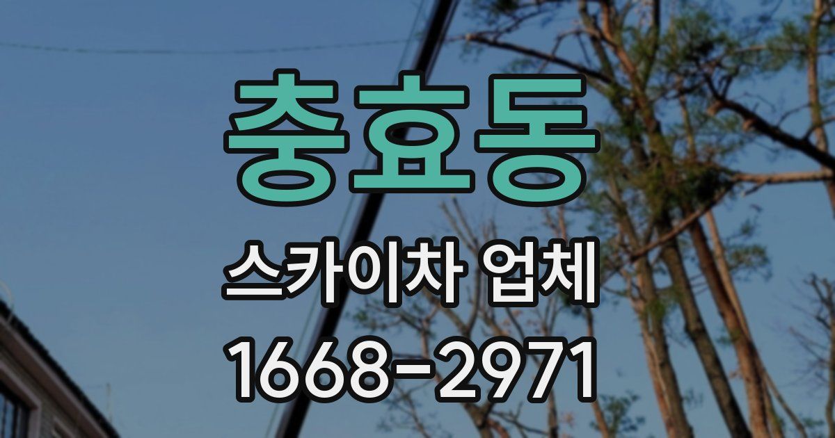 충효동 스카이차 업체