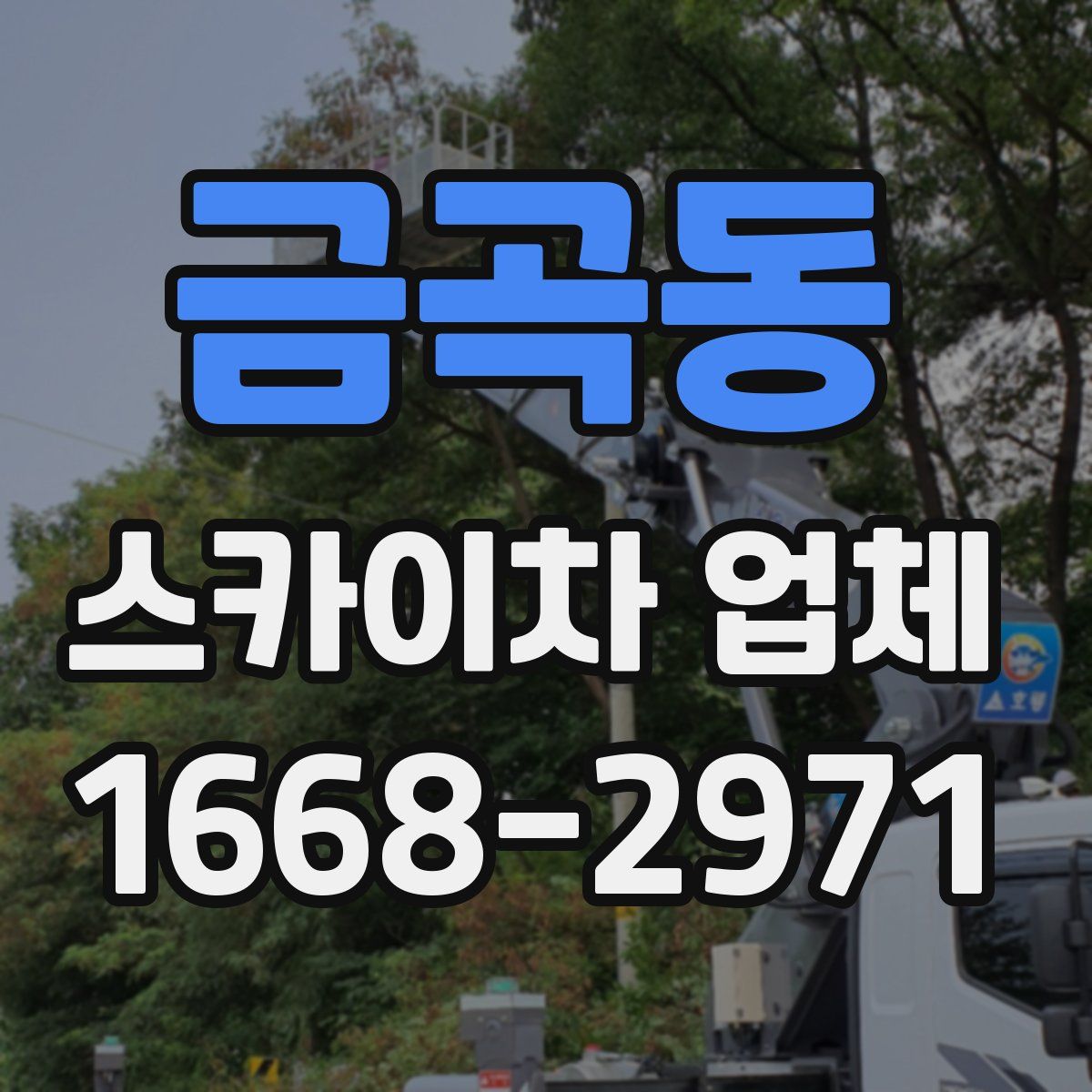 금곡동 스카이차 업체