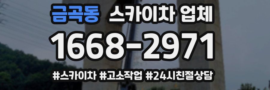 금곡동 스카이차 업체
