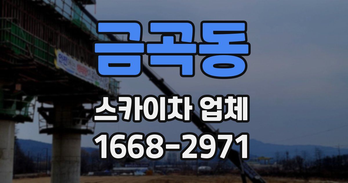 금곡동 스카이차 업체