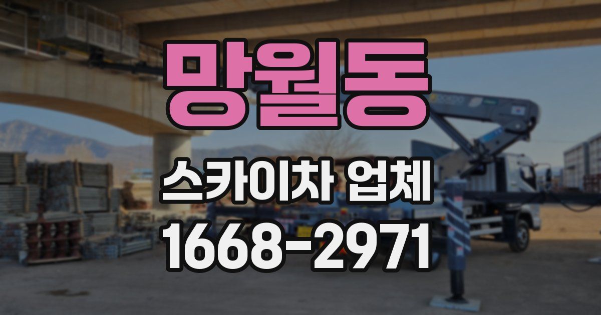 망월동 스카이차 업체