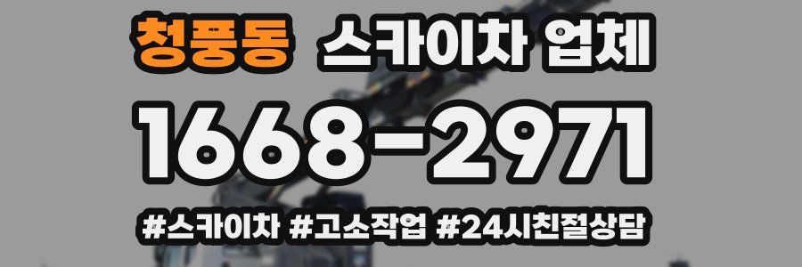 청풍동 스카이차 업체