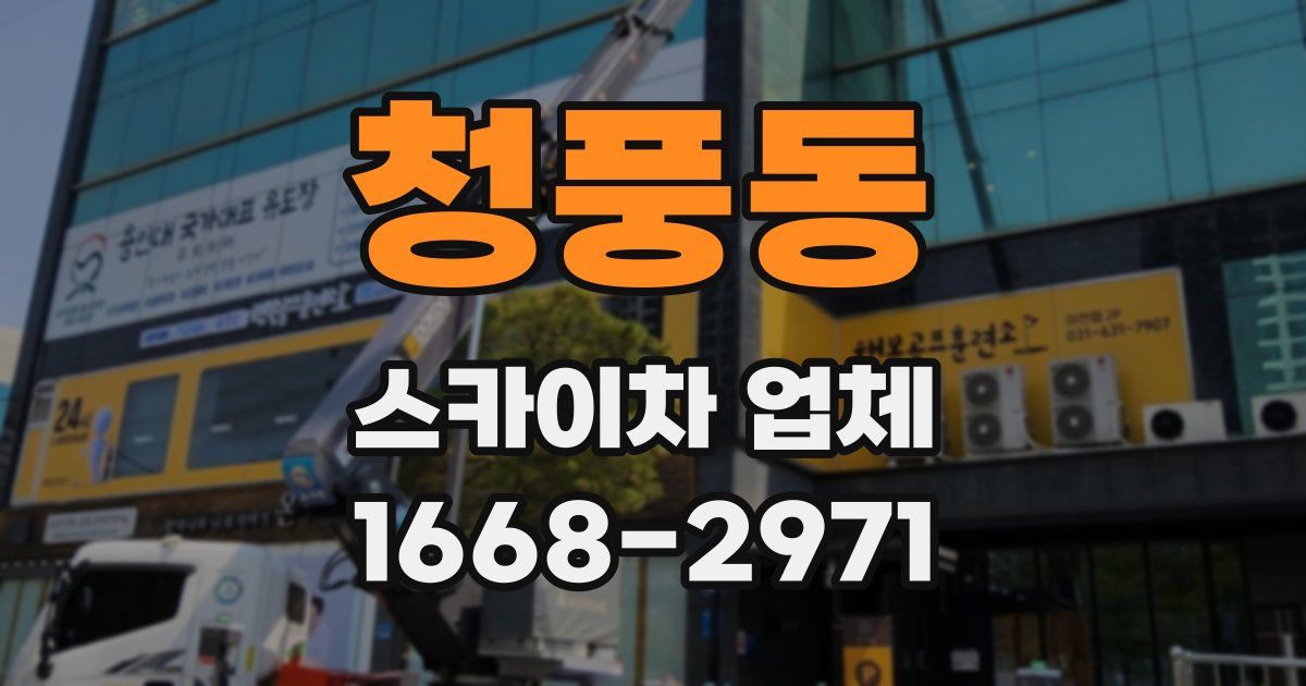 청풍동 스카이차 업체