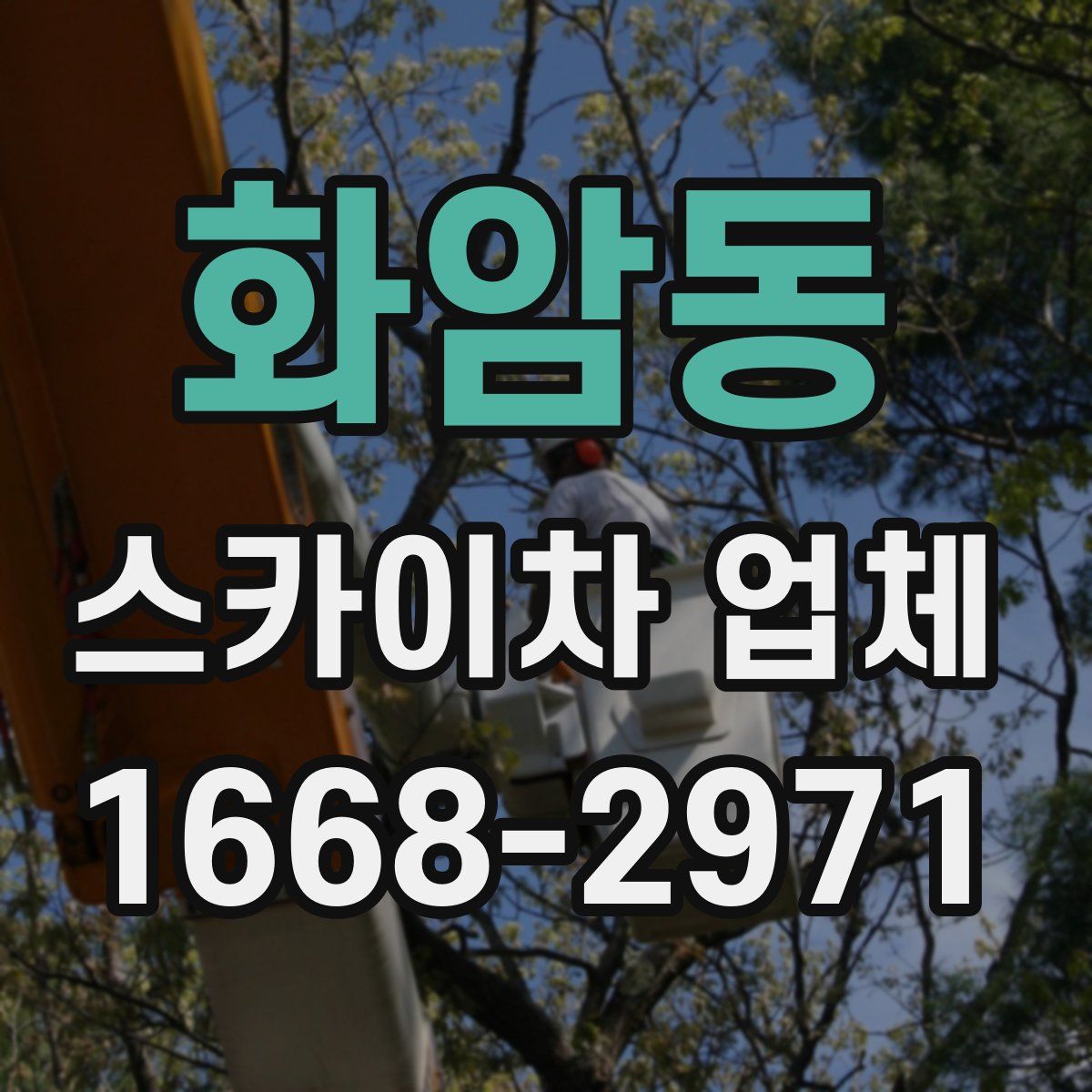 화암동 스카이차 업체
