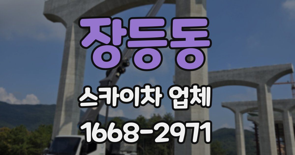 장등동 스카이차 업체