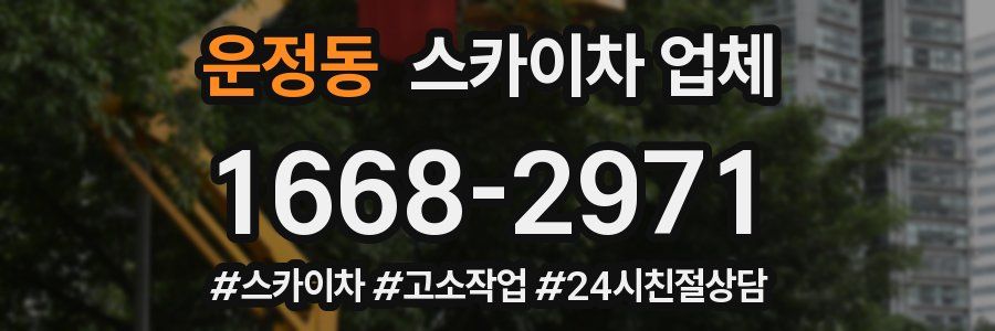 운정동 스카이차 업체