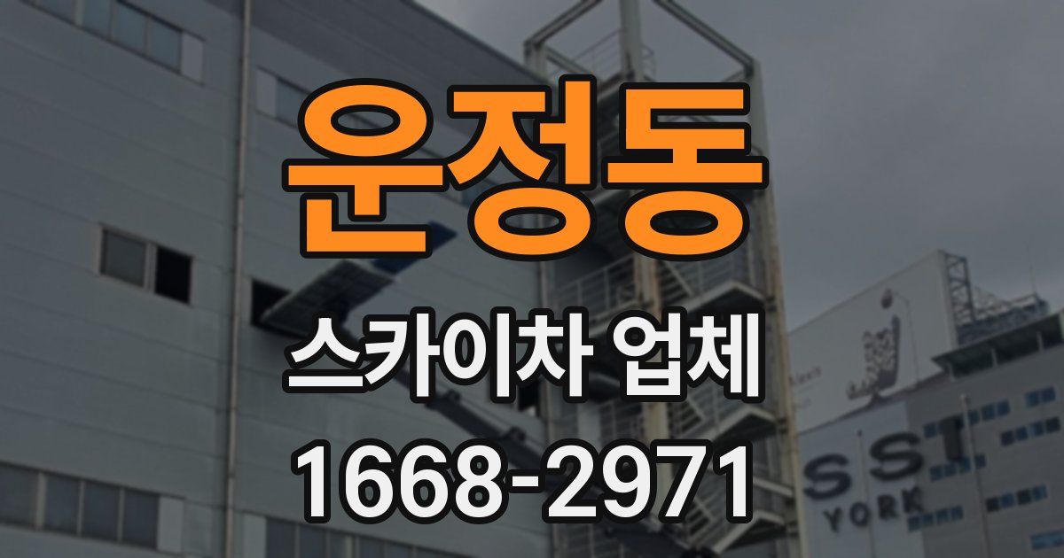 운정동 스카이차 업체