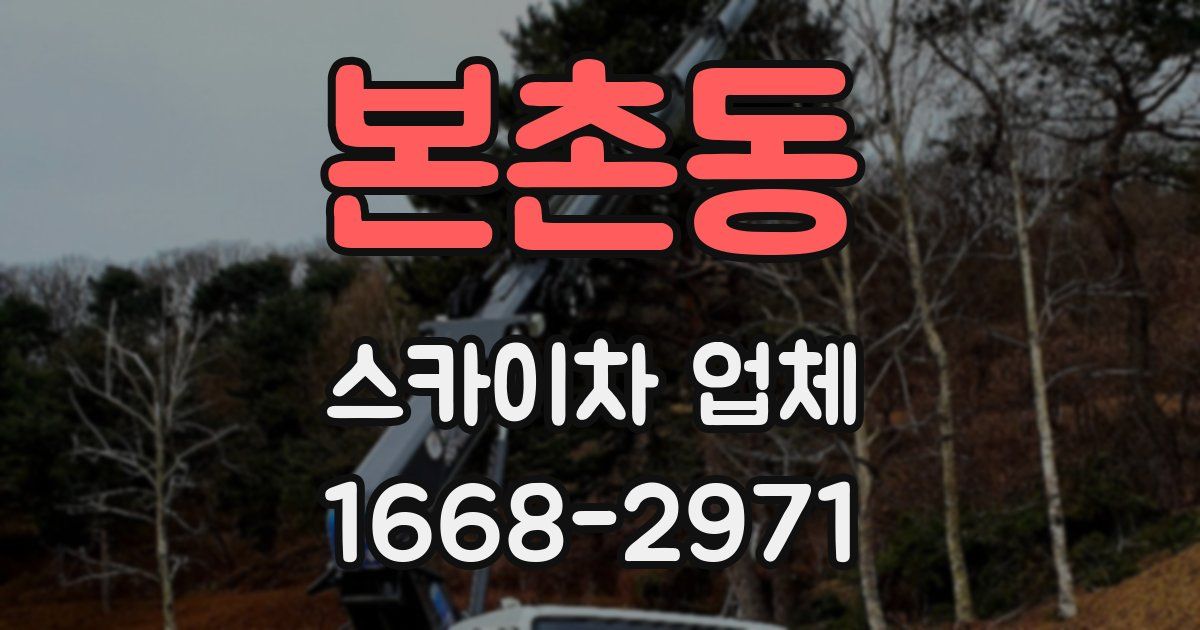 본촌동 스카이차 업체