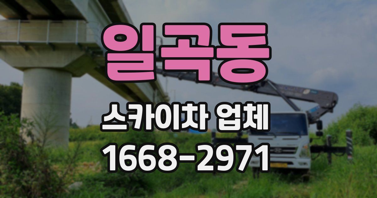 일곡동 스카이차 업체