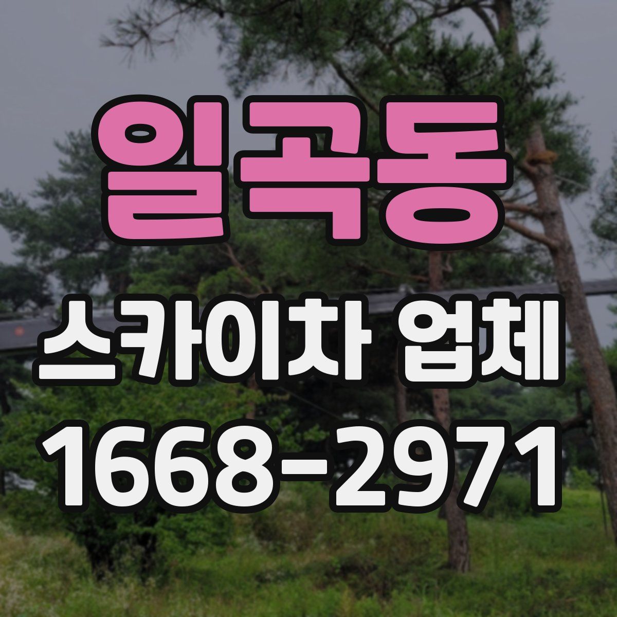 일곡동 스카이차 업체