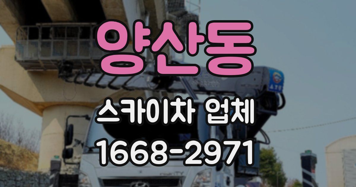 양산동 스카이차 업체