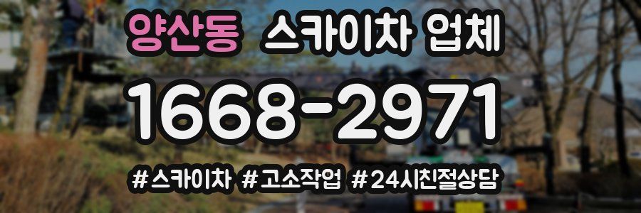 양산동 스카이차 업체