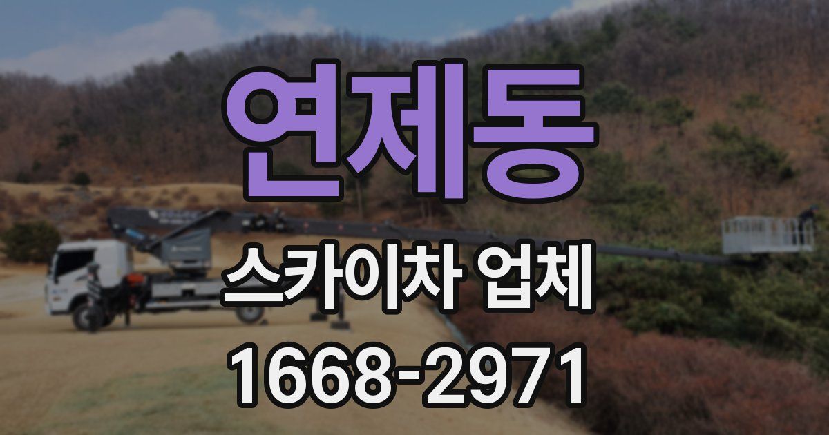 연제동 스카이차 업체