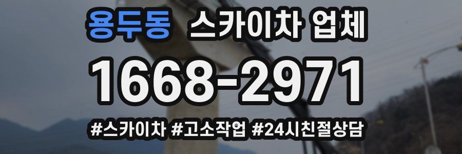 용두동 스카이차 업체