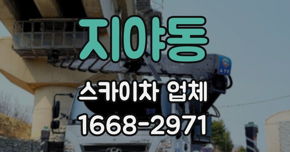 지야동 스카이차 업체