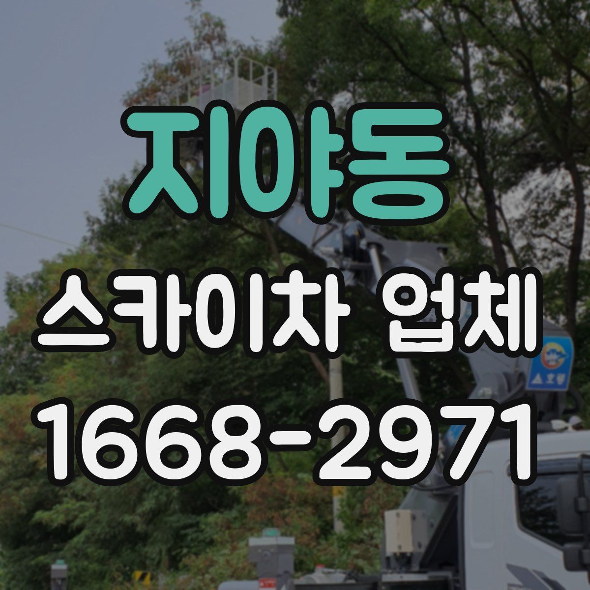 지야동 스카이차 업체