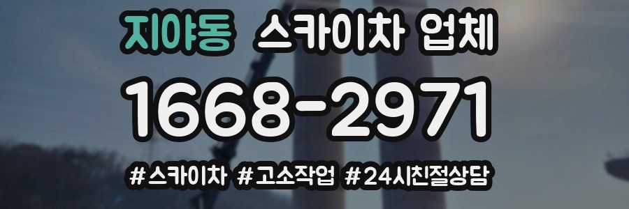 지야동 스카이차 업체