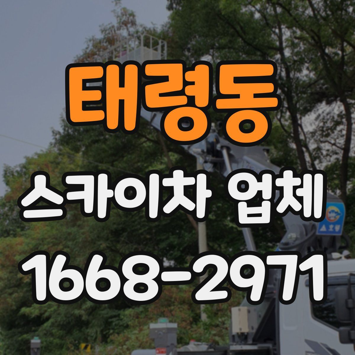 태령동 스카이차 업체