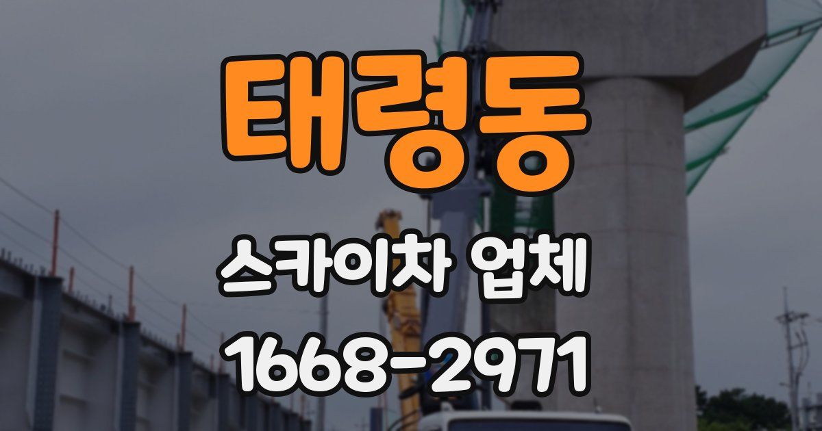 태령동 스카이차 업체