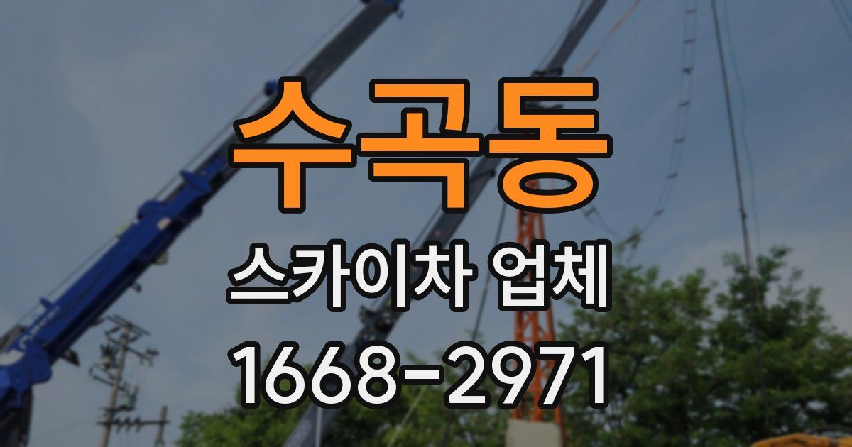 수곡동 스카이차 업체