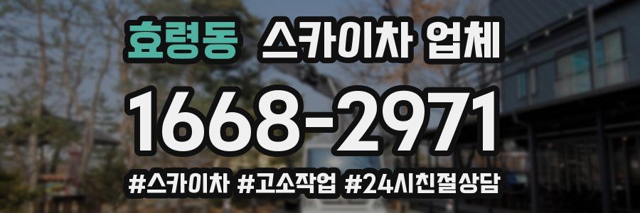 효령동 스카이차 업체
