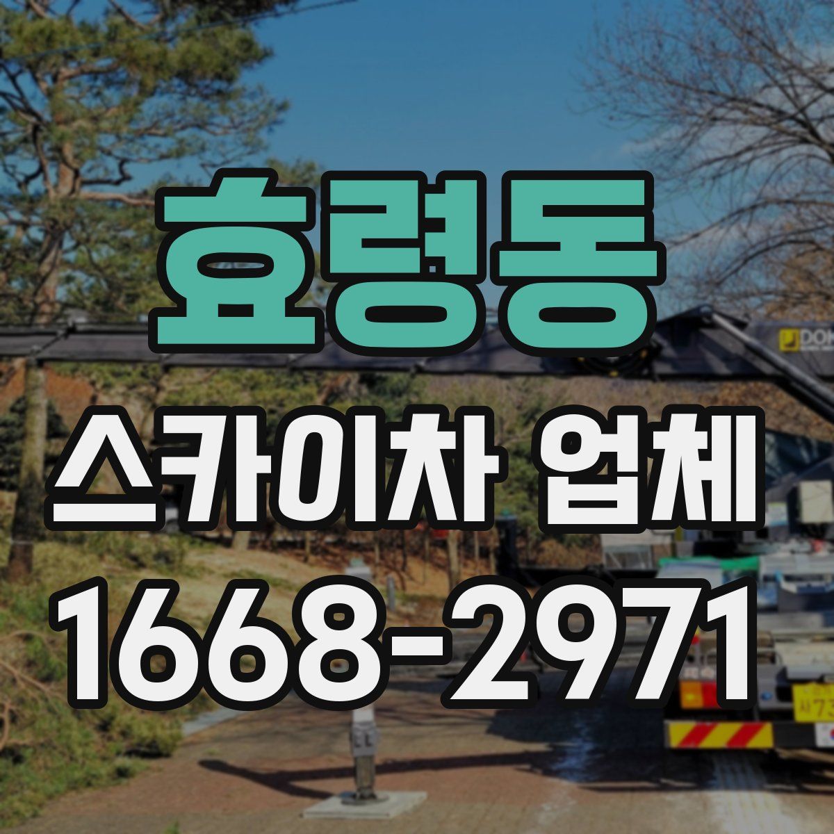 효령동 스카이차 업체