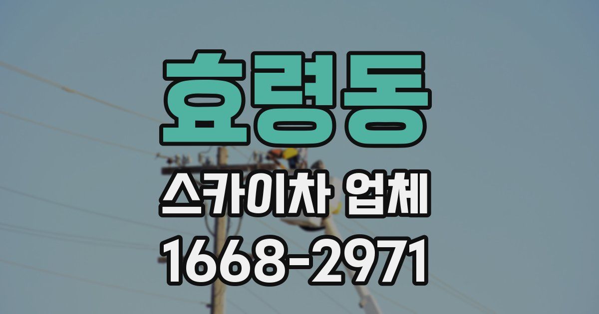효령동 스카이차 업체