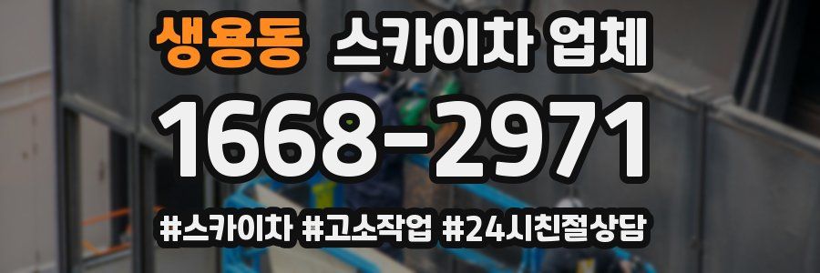 생용동 스카이차 업체