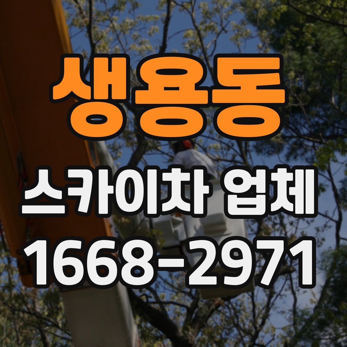 생용동 스카이차 업체