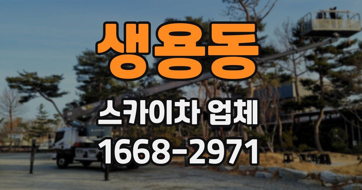 생용동 스카이차 업체