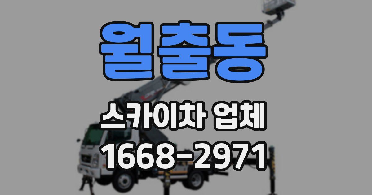 월출동 스카이차 업체