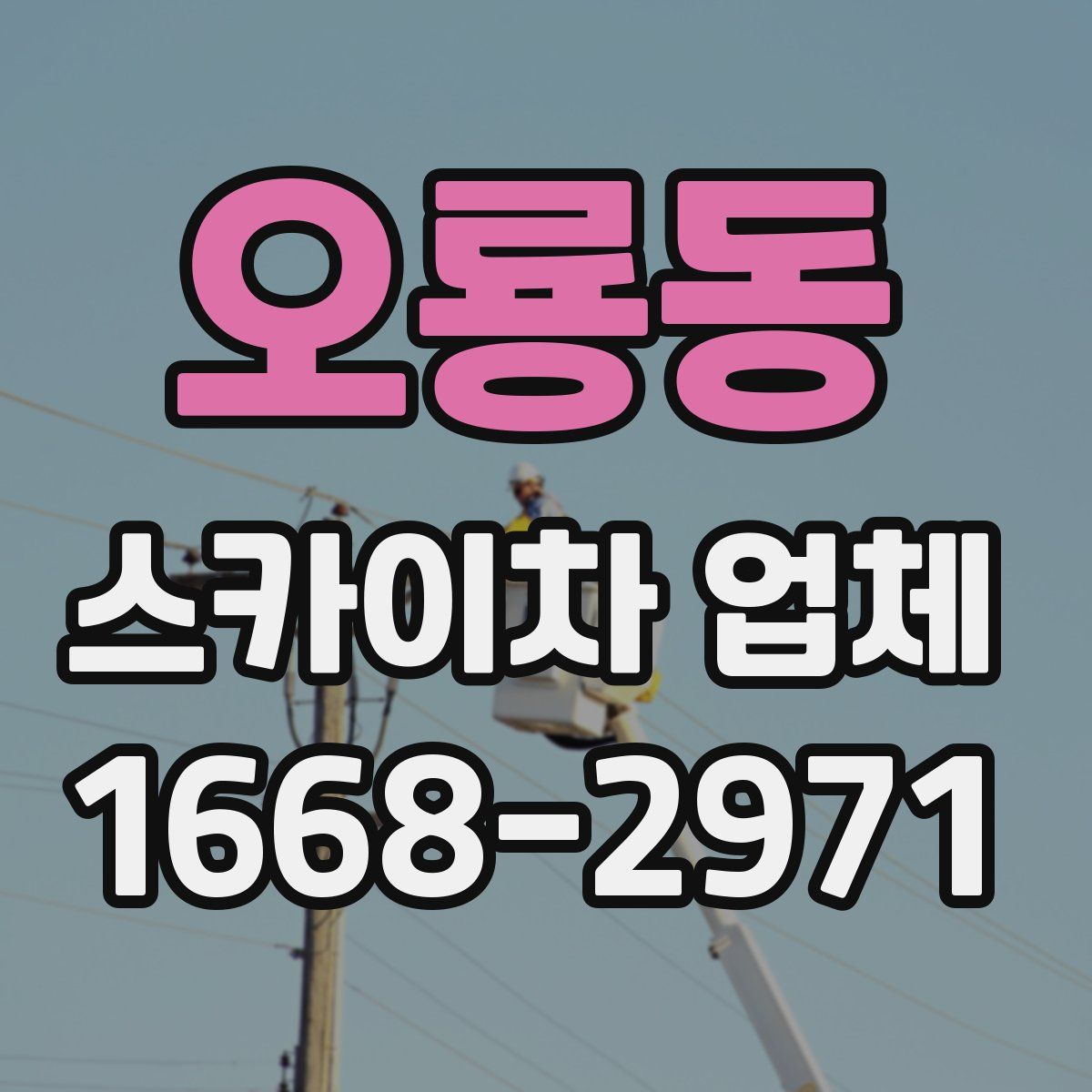 오룡동 스카이차 업체