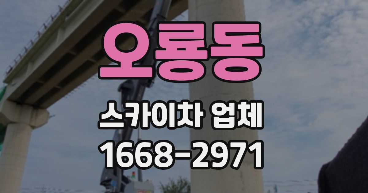 오룡동 스카이차 업체