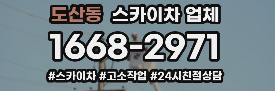 도산동 스카이차 업체