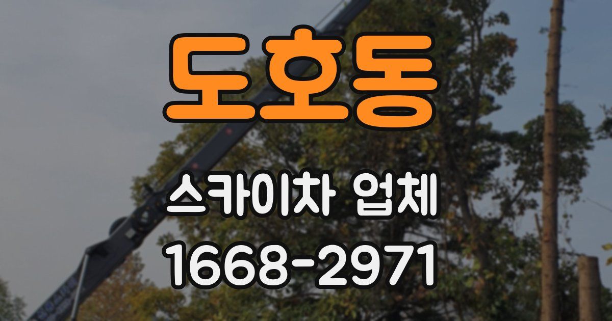 도호동 스카이차 업체