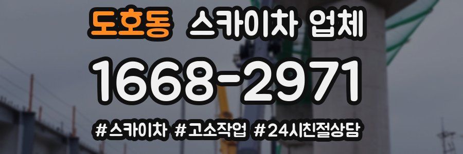 도호동 스카이차 업체