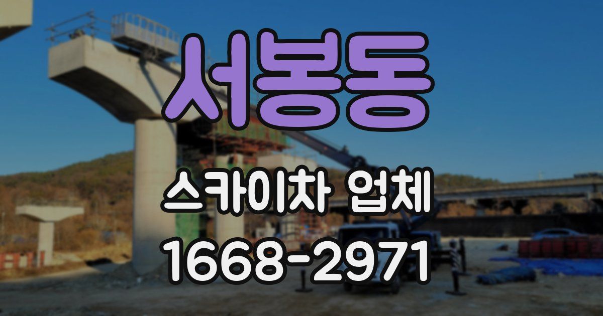 서봉동 스카이차 업체