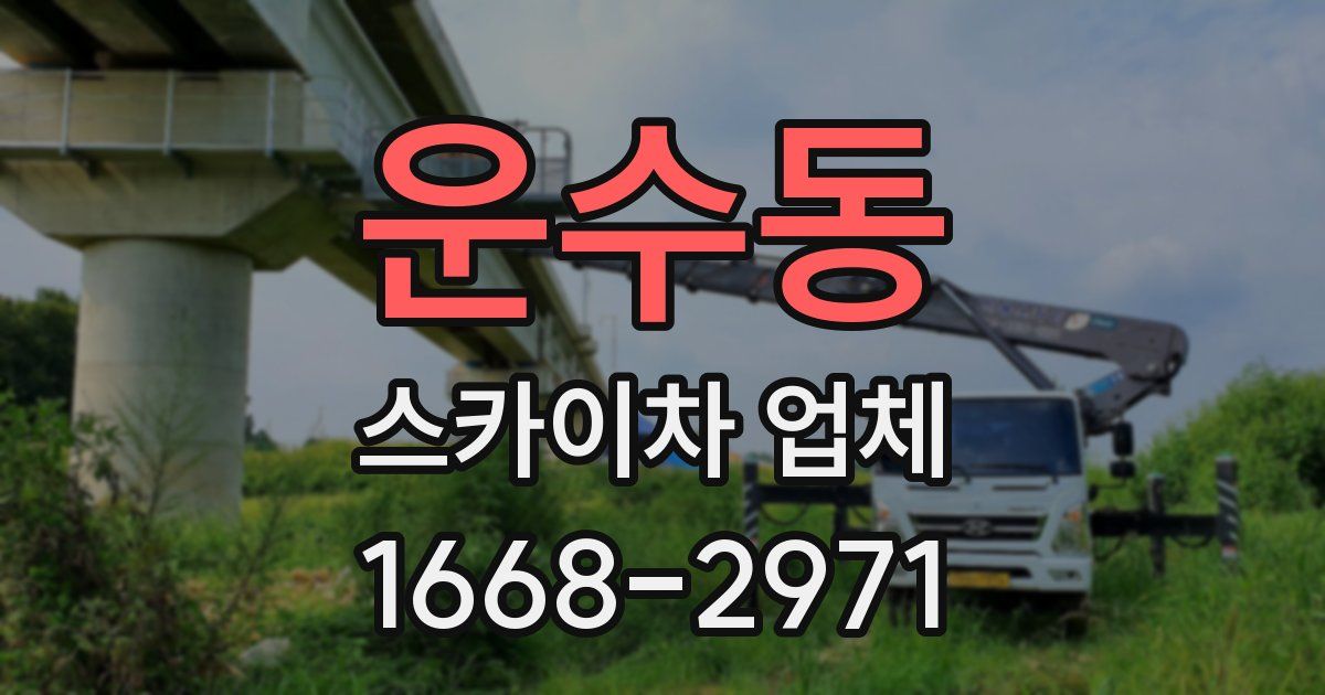 운수동 스카이차 업체